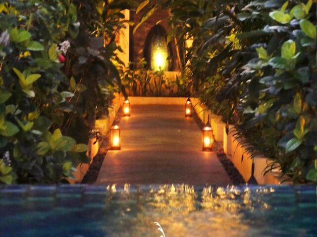 アラナ スイート