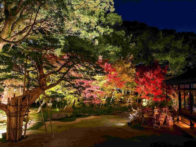 東急ステイ博多