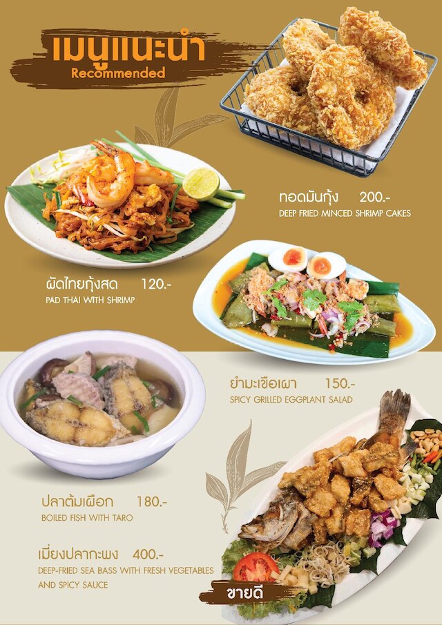 ブラウン・アンダマン・クラビ