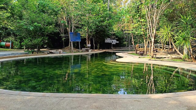 ブラウン・アンダマン・クラビ