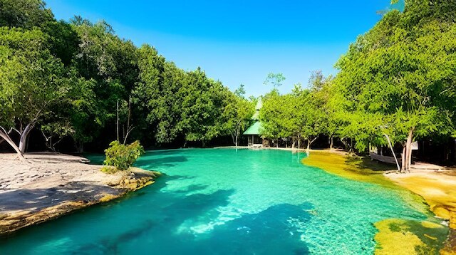 ブラウン・アンダマン・クラビ