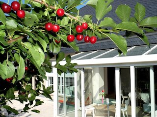 ヴィラ オーチャード フランクフルト