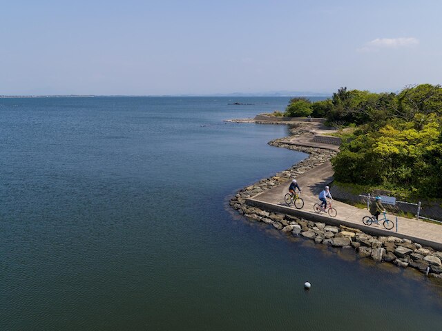 ココリト大根島
