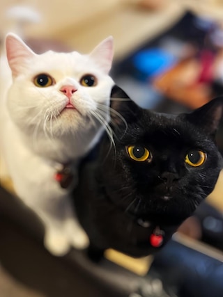 16 アレイ ホステル (十六弄民宿)