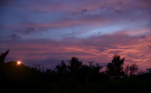 16 アレイ ホステル (十六弄民宿)