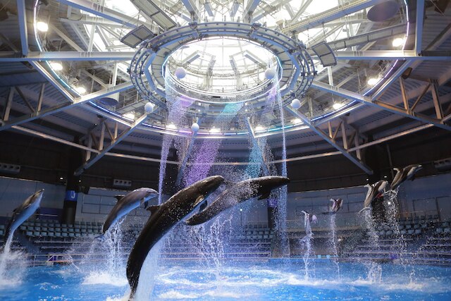 品川プリンスホテル Nタワー