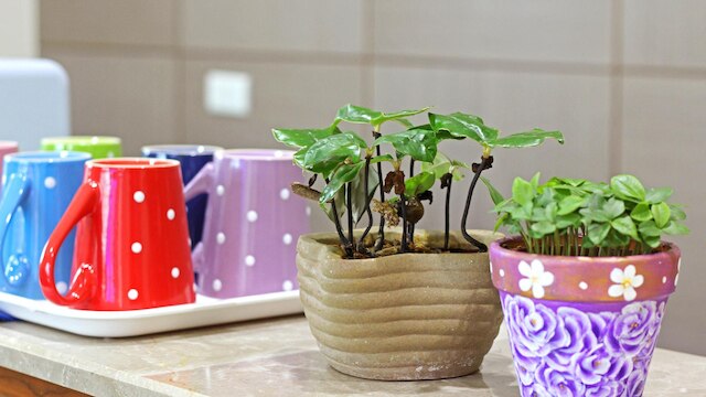 ユエン ベッド アンド ブレックファスト (圓Villa休閒民宿)