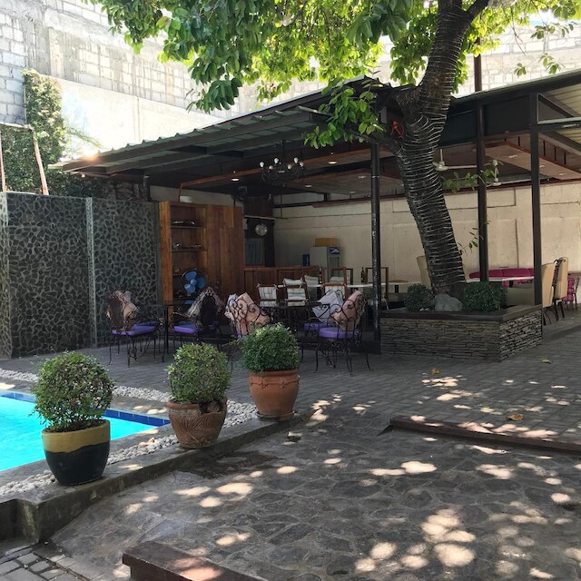 ザ パープル ツリー ベッド & ブレックファスト