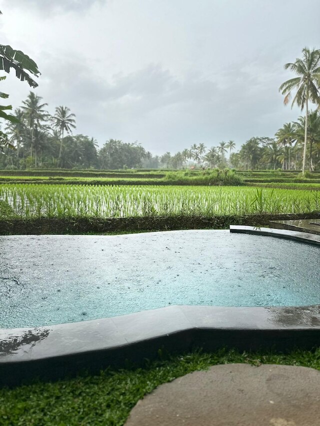 ザ アルス コテージズ