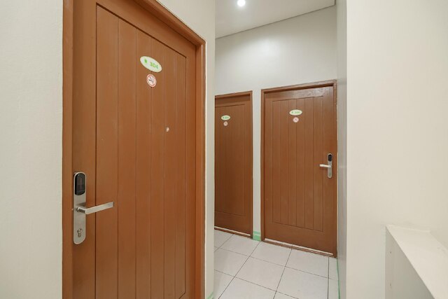 ゼン ルームズ ベーシック グリーン アップル