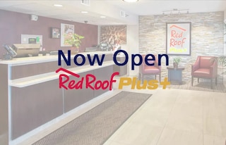 ブルックリン ヴァイビ ホテル、アセンド ホテル コレクション