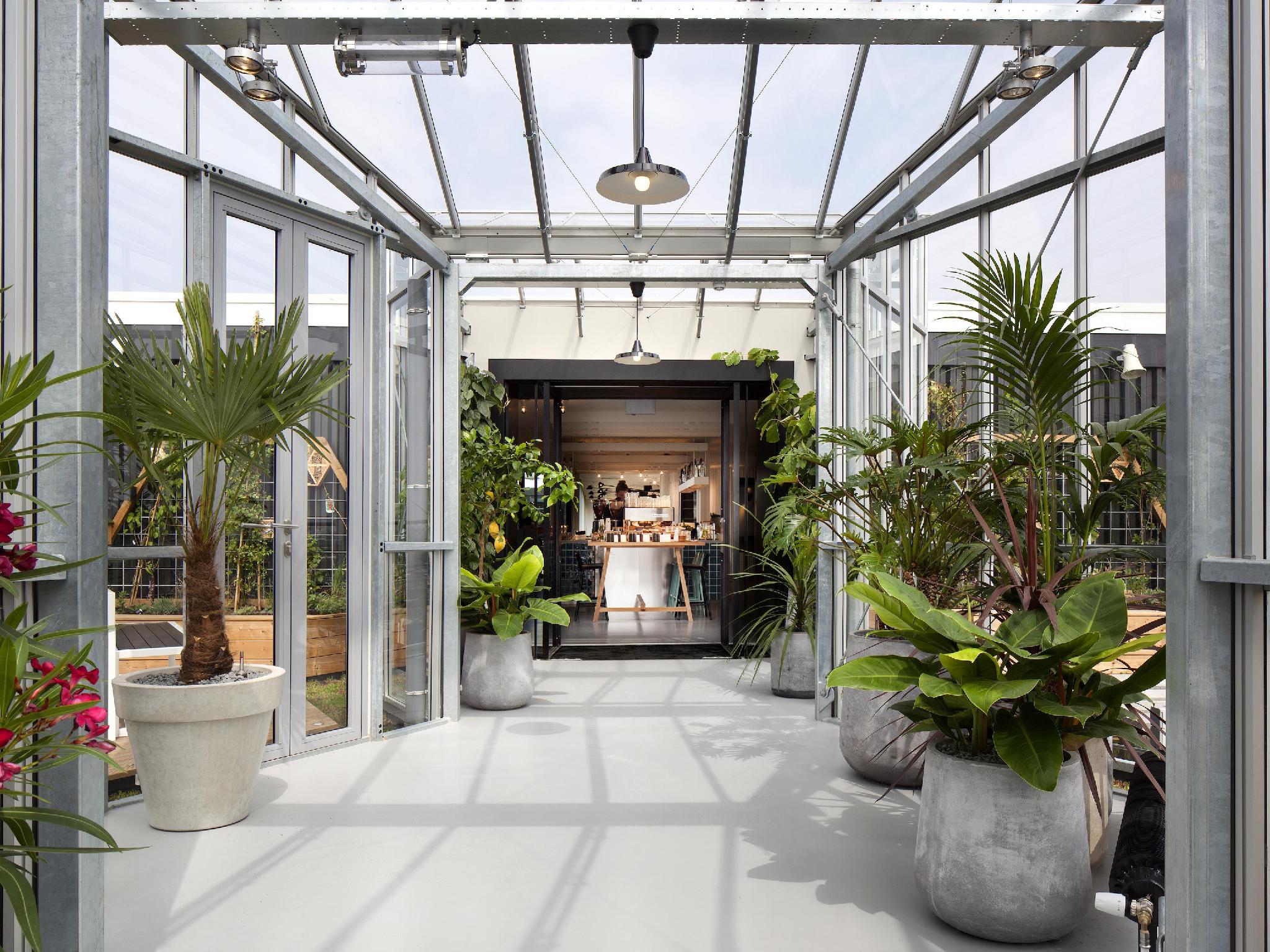 ゾク アムステルダム