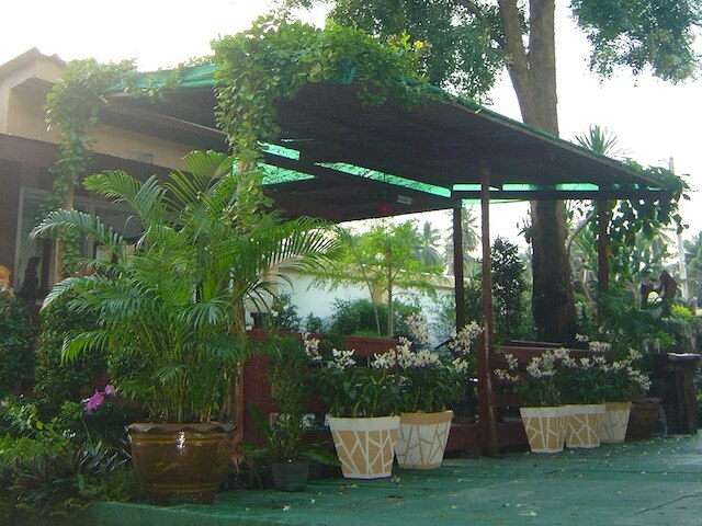 ココナッツ ホーム リゾート