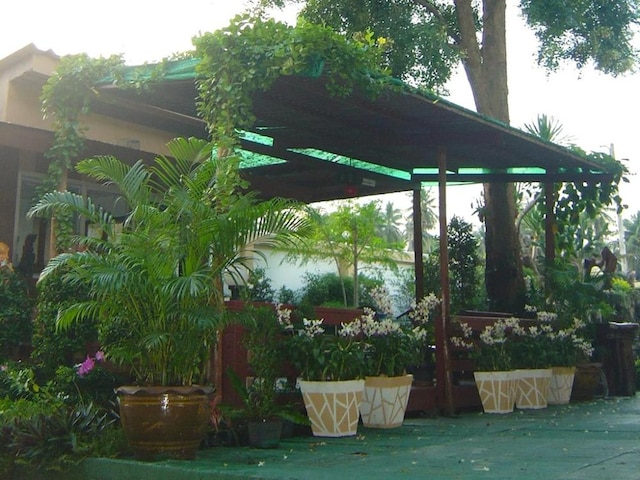 ココナッツ ホーム リゾート