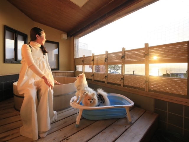 愛犬と泊まれる温泉宿　ゆるり西伊豆