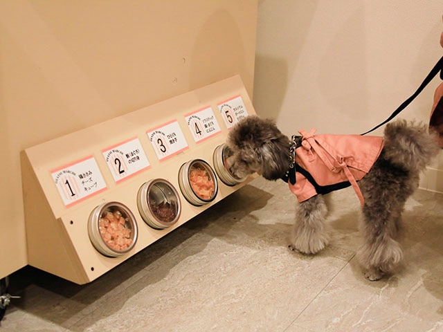 愛犬と泊まれる温泉宿　ゆるり西伊豆