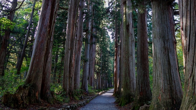 斑尾高原ホテル