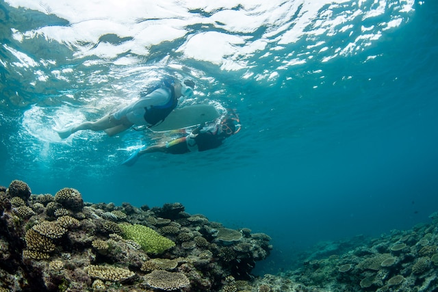 プリシアリゾート ヨロン