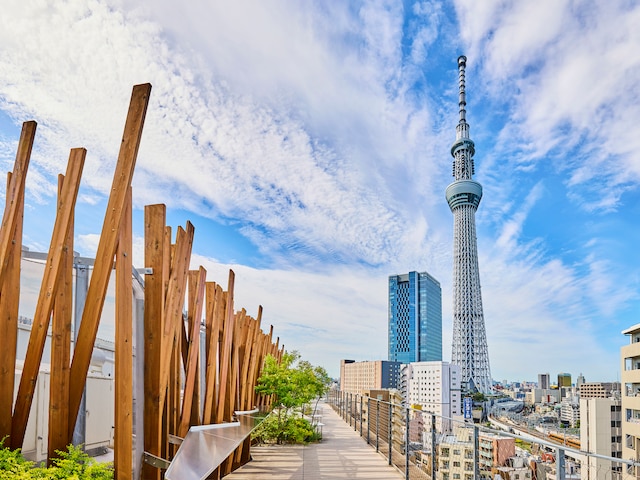 ONE@Tokyo by insomnia