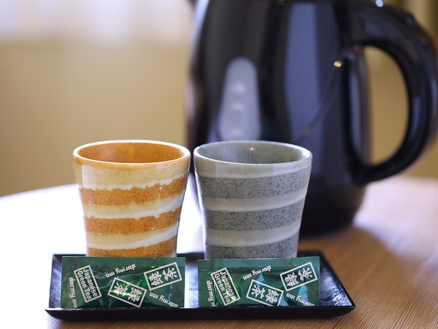 天然温泉 三州の湯 ドーミーインEXPRESS三河安城