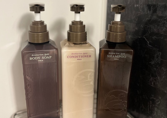 変なホテルプレミア　奈良