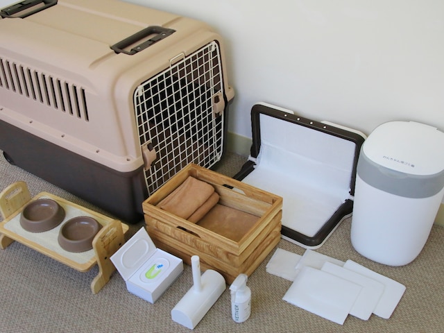 ゆとりろ蓼科ホテル with DOGS