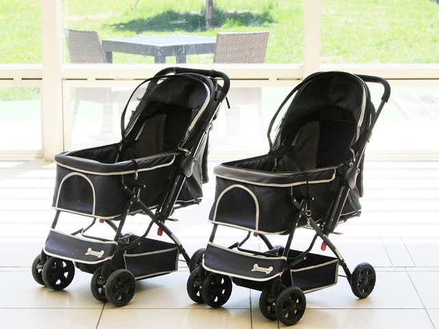 ゆとりろ蓼科ホテル with DOGS