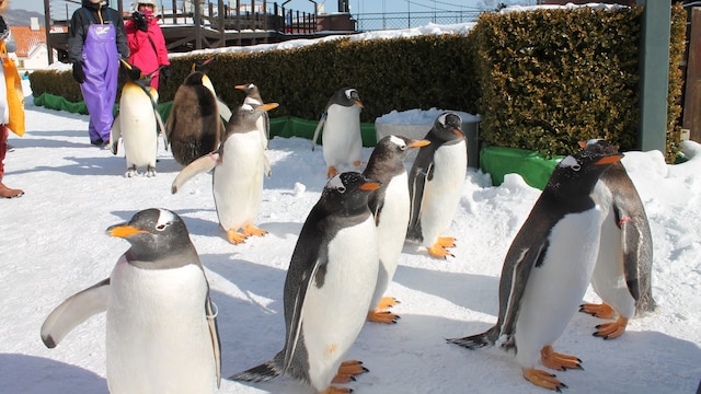 祝いの宿 登別グランドホテル