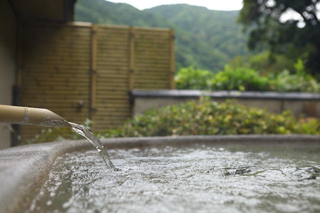 海石榴　つばき