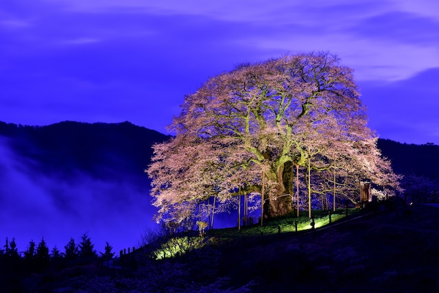 Tabist すぱゆばら 岡山湯原温泉