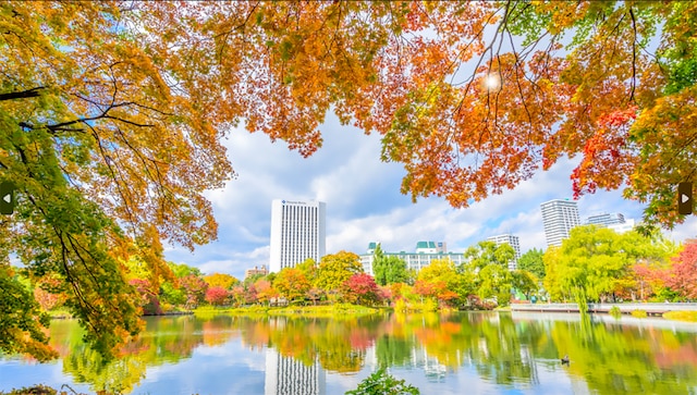 プレミアホテル 中島公園 札幌