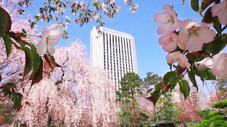 プレミアホテル 中島公園 札幌