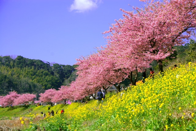 清流荘