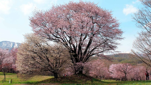 八幡平マウンテンホテル