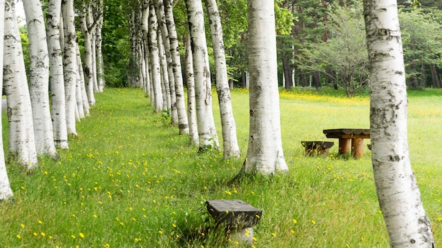 八幡平マウンテンホテル