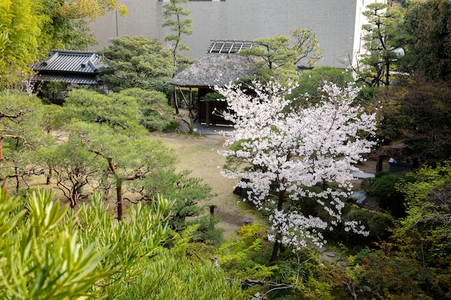 道後温泉 ふなや