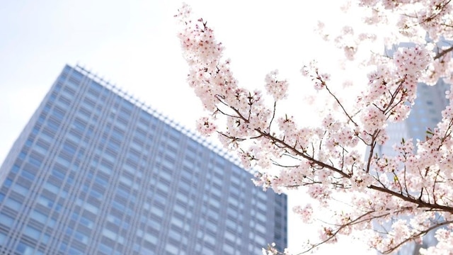 ザ・キャピトルホテル 東急