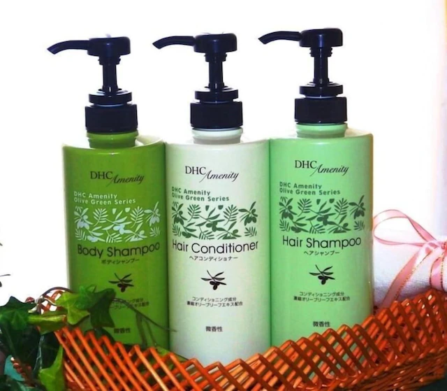 ネストホテル札幌駅前