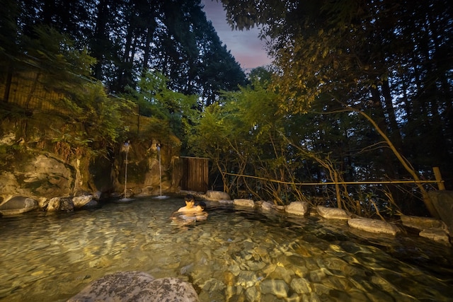 大江戸温泉物語 三好屋