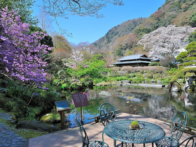 箱根湯本温泉 吉池旅館