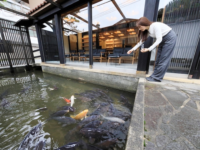 ゆとりろ津和野