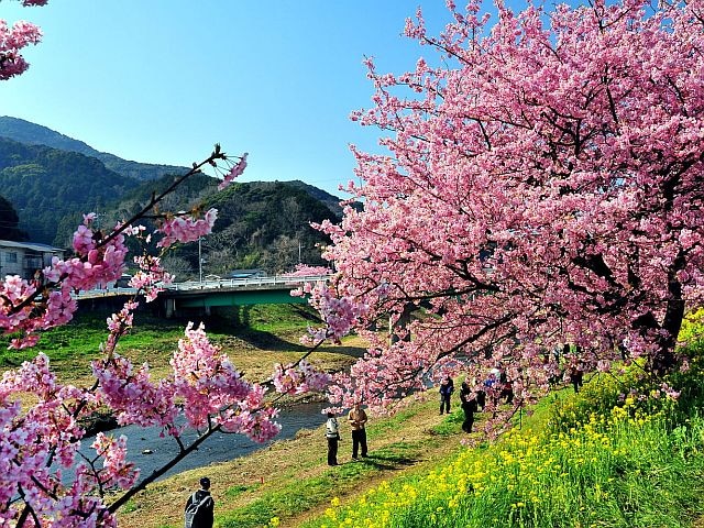 里山の別邸 下田セントラルホテル