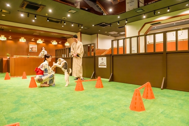 大江戸温泉物語わんわんリゾート 矢田屋松濤園