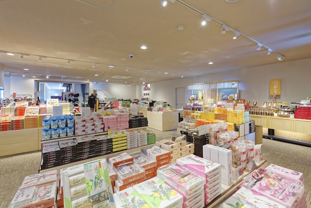 大江戸温泉物語Premium 白浜彩朝楽