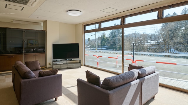 おわらビューホテル