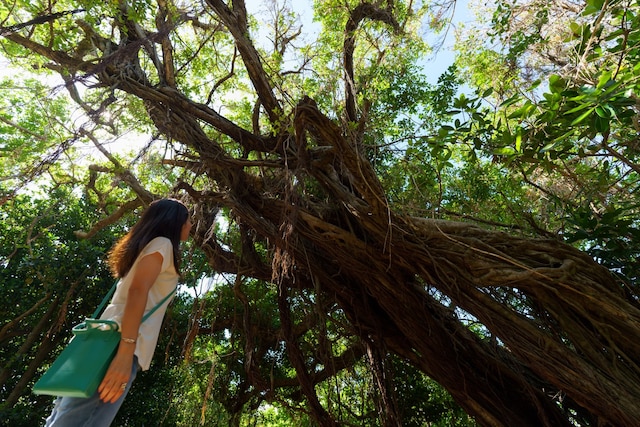 クリスタル別荘南城