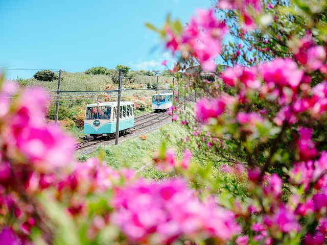 THE GLAMPING 箱根十国峠