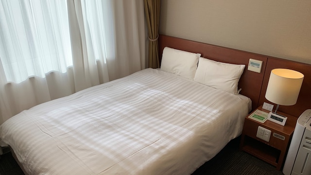 天然温泉 樽前の湯 ドーミーイン苫小牧