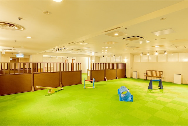 大江戸温泉物語わんわんリゾート 粟津