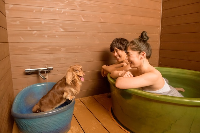 大江戸温泉物語わんわんリゾート 粟津